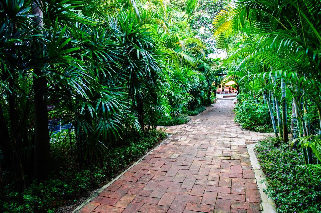 Baanpong Lodge San Kamphaeng Eksteriør bilde
